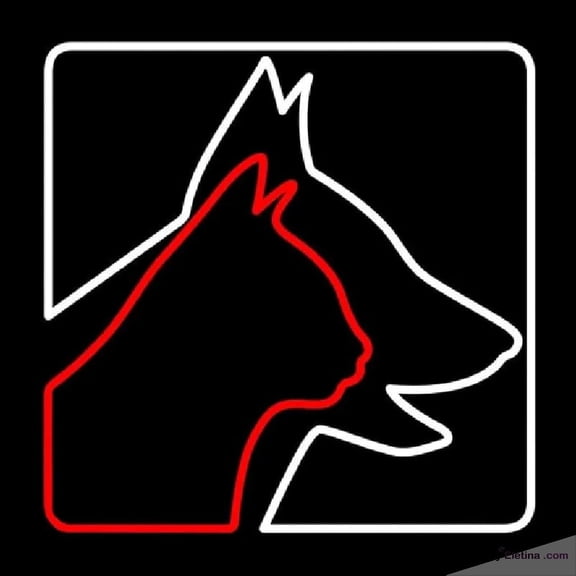 Neon Signs for Wall Decor Veterinary Logo Dog Logo Cat Handmade Art Sign Neon Led Tubing16x20inch