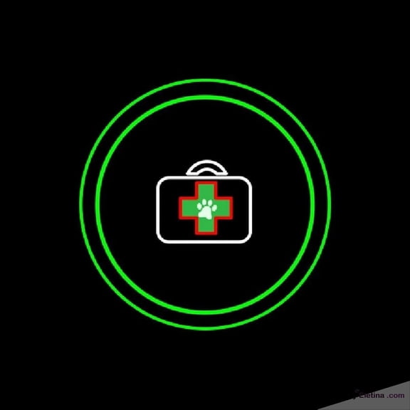 Neon Signs for Wall Decor Veterinary Pet Care And Clinic Handmade Art Sign Neon Led Tubing16x20inch