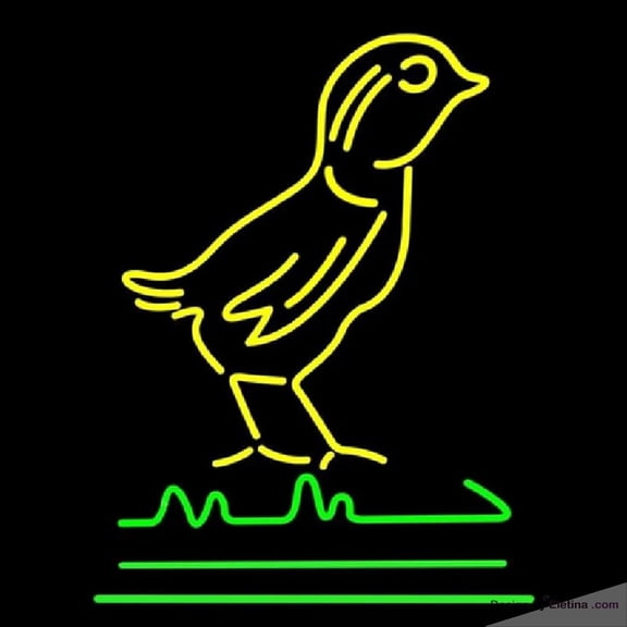 Neon Signs for Wall Decor Yellow Bird Logo Handmade Art Sign Neon Led Tubing16x20inch