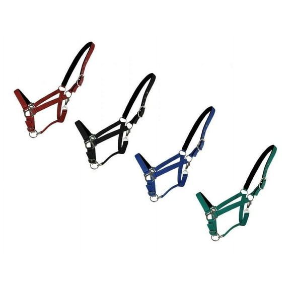 Neoprene Lined 3-Ply Nylon Halter