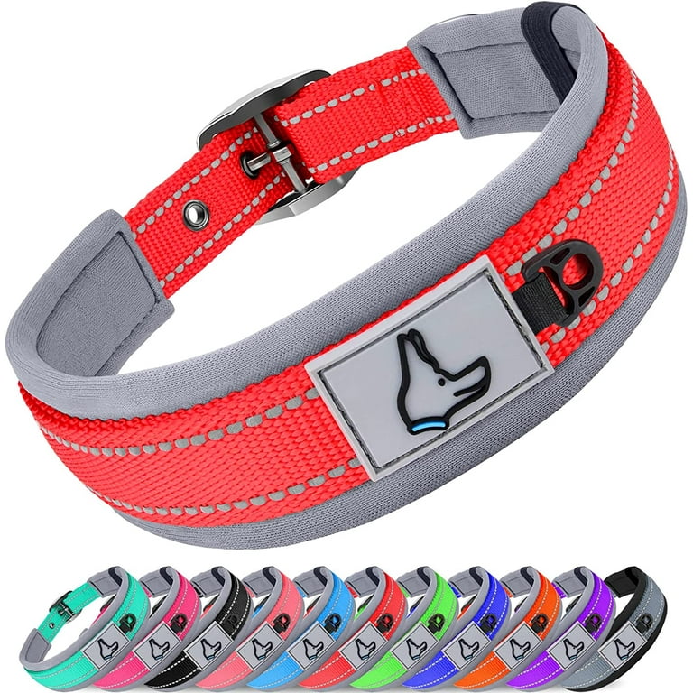 Padded dog collars with buckle outlet