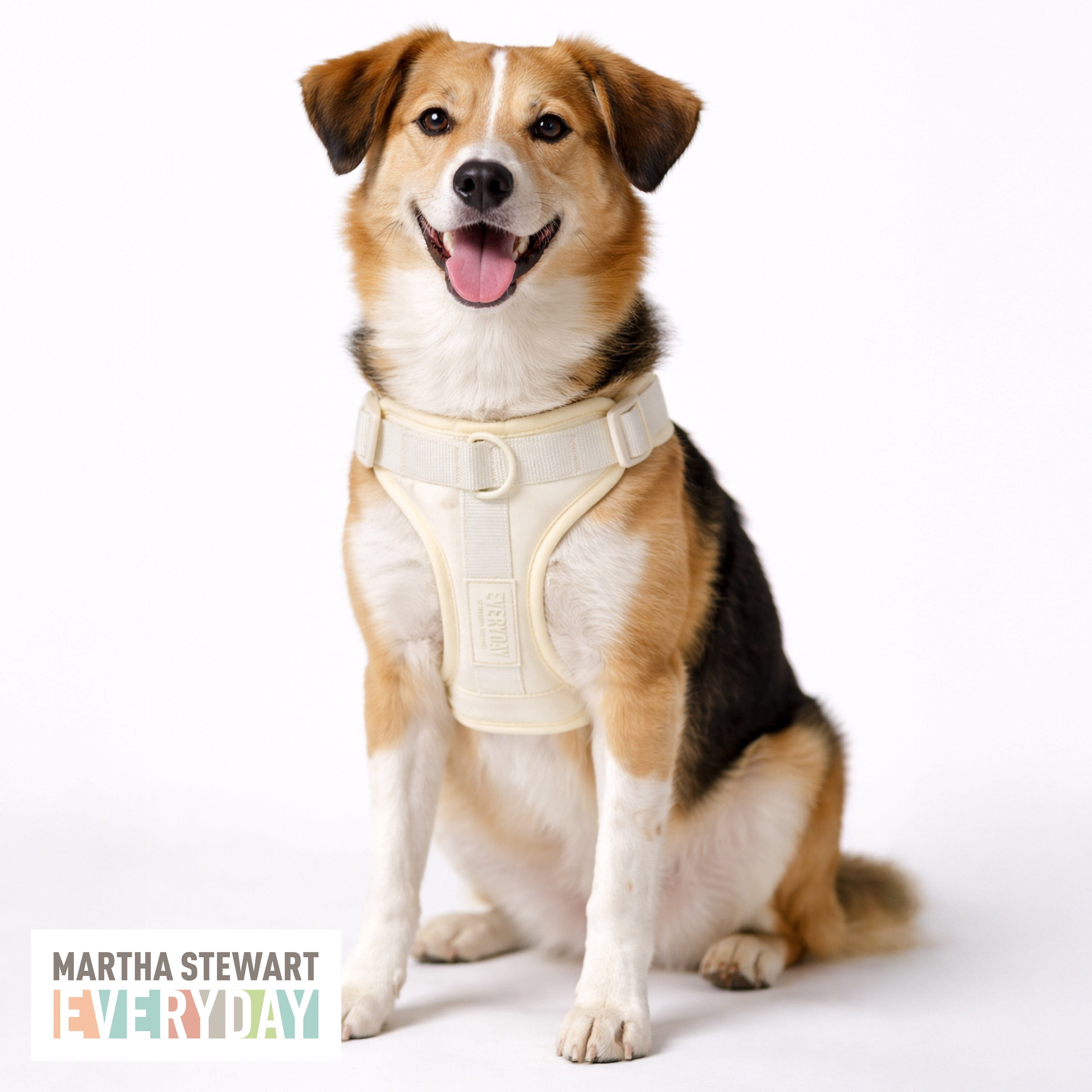 Martha Stewart Cream Neoprene Padded Pet Harness for Comfort and Safety