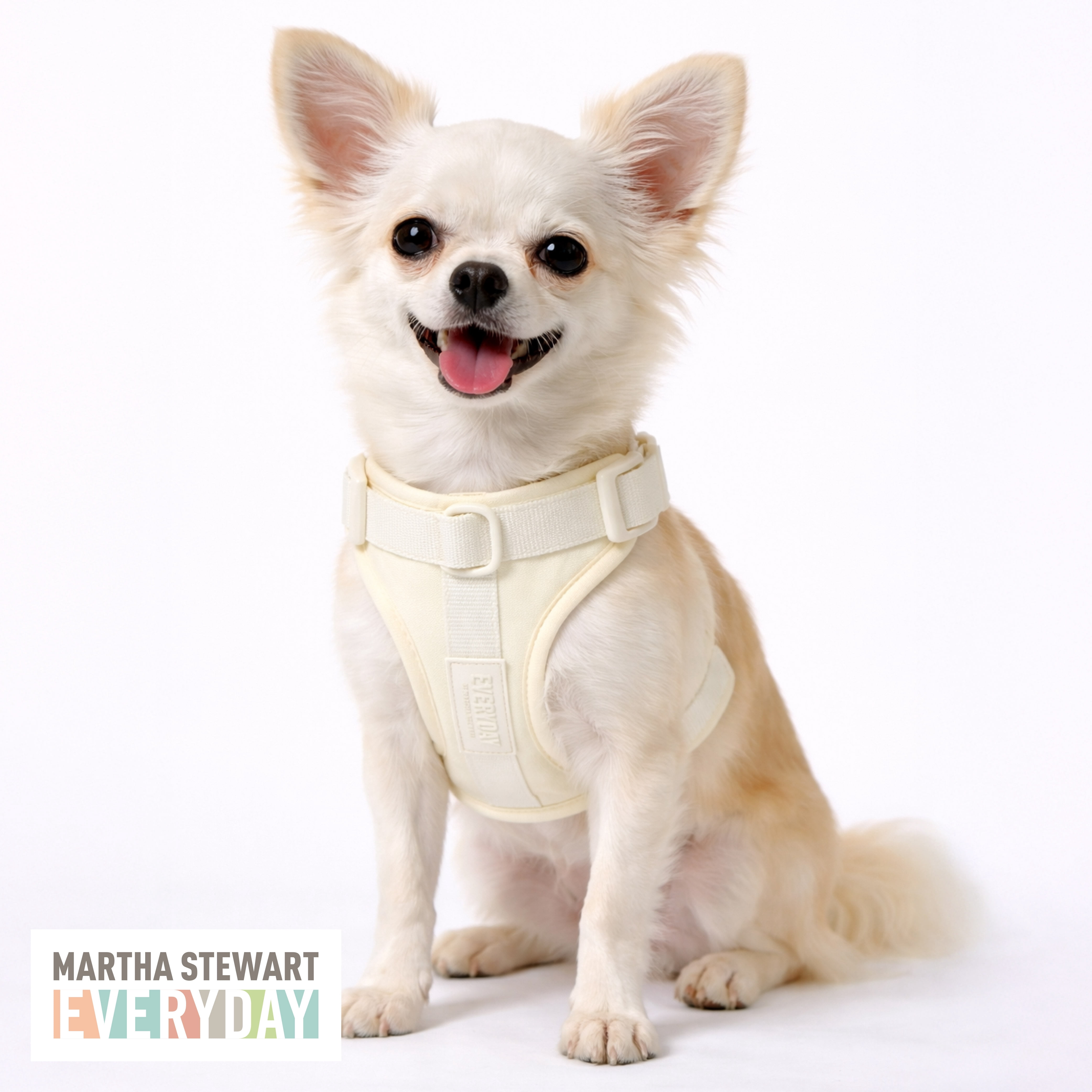 Neoprene Padded Harness - Cream XS for Small Dogs