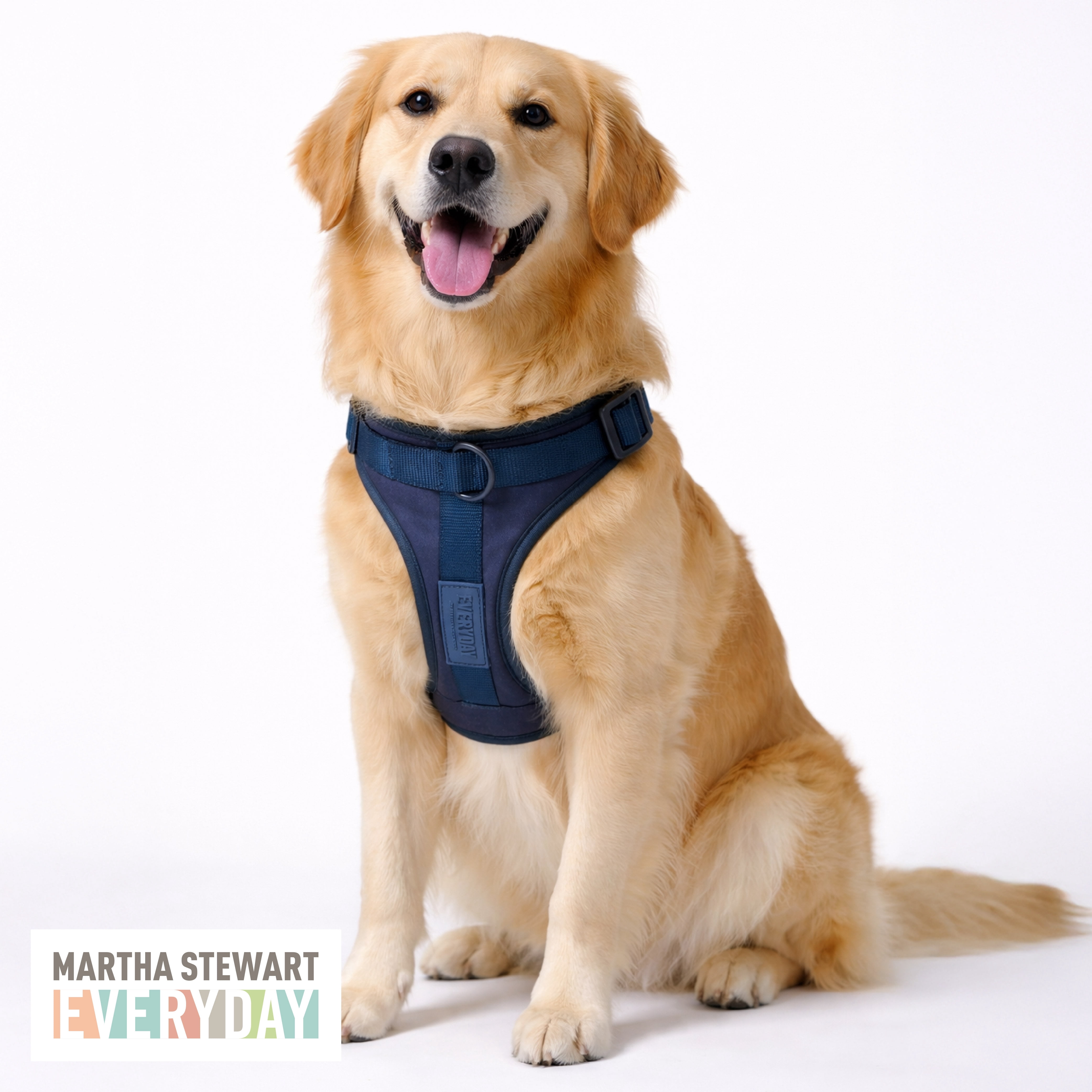 Martha Stewart Neoprene Padded Harness - Navy for Dogs