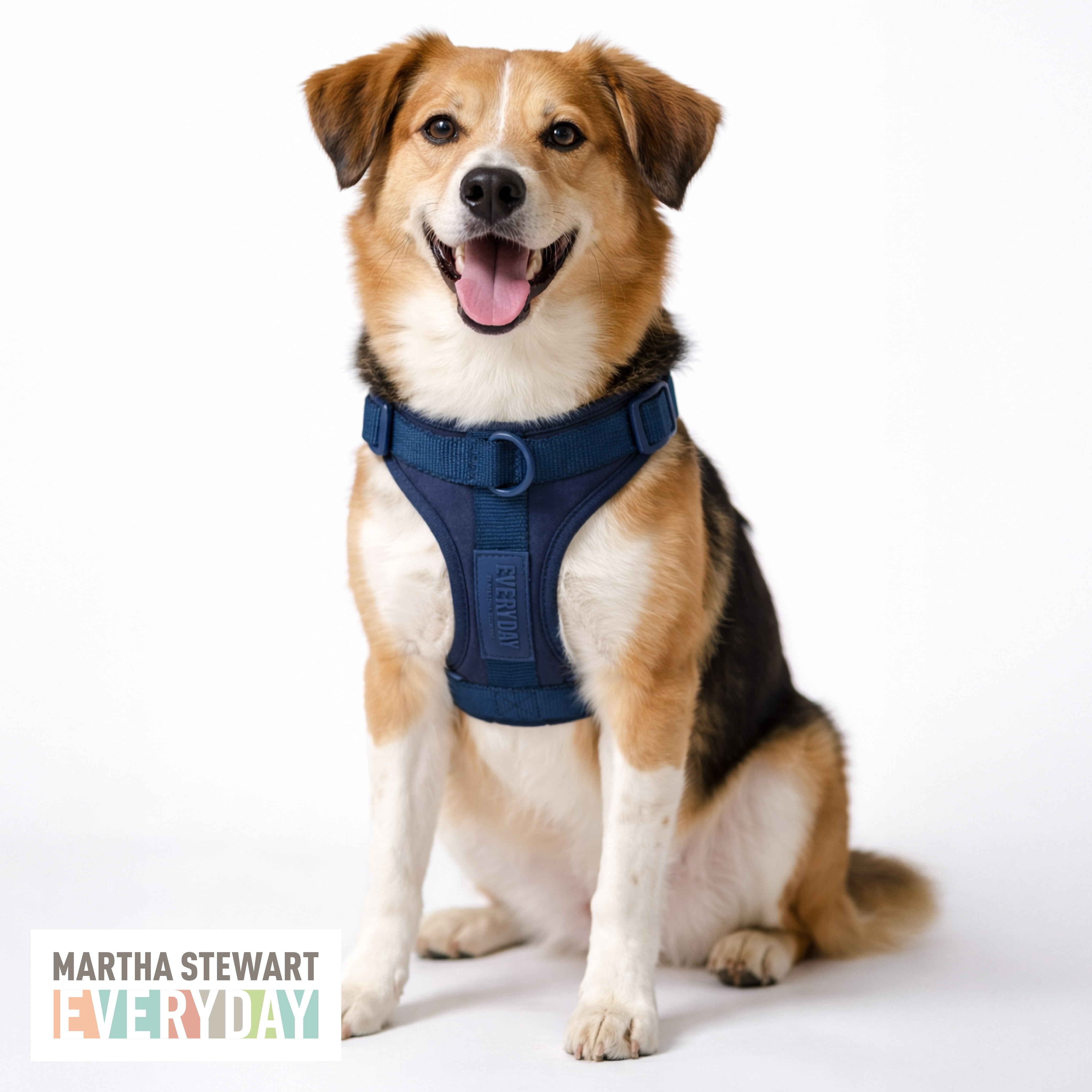 Martha Stewart Neoprene Padded Pet Harness Navy Medium