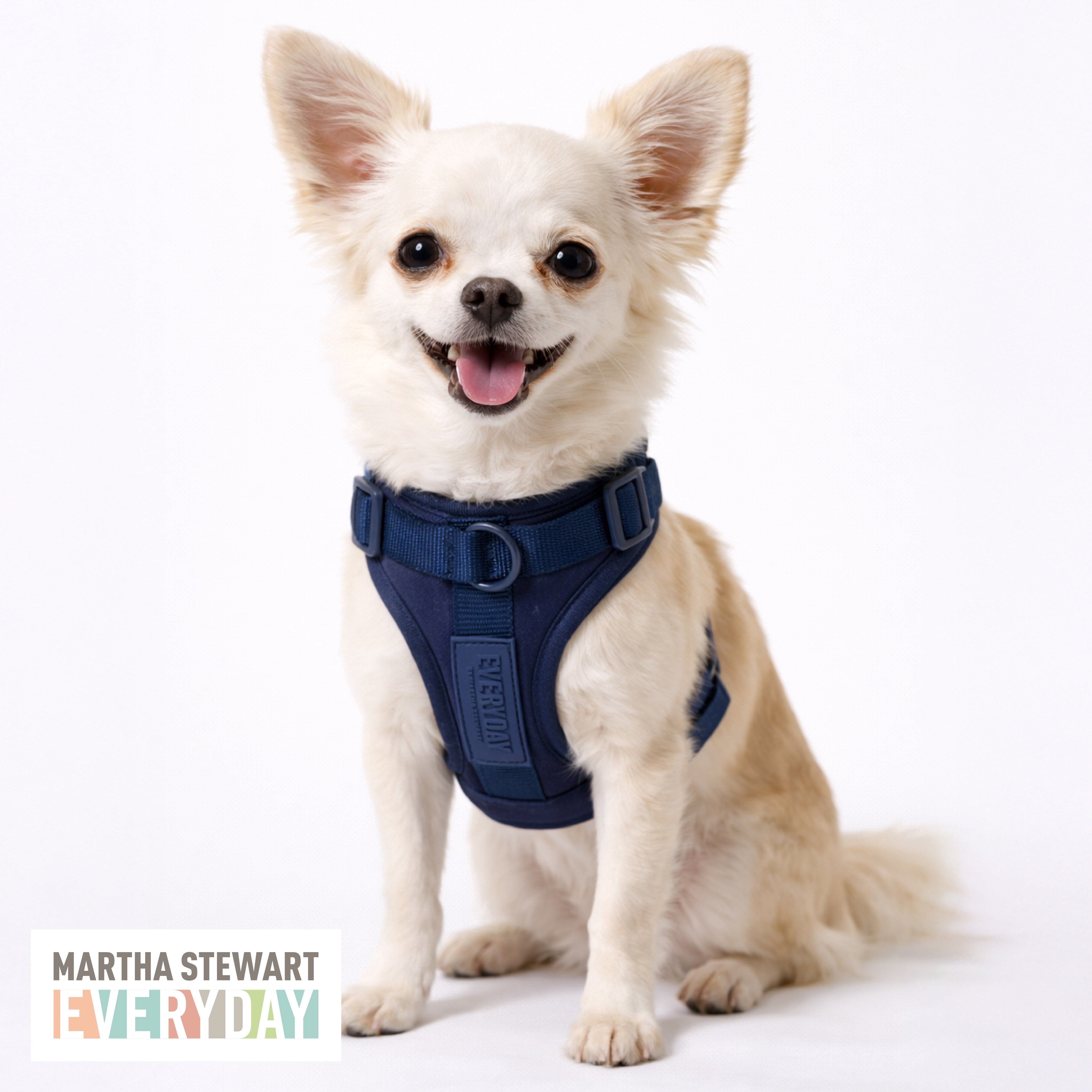 Martha Stewart Neoprene Padded Dog Harness - Navy XS