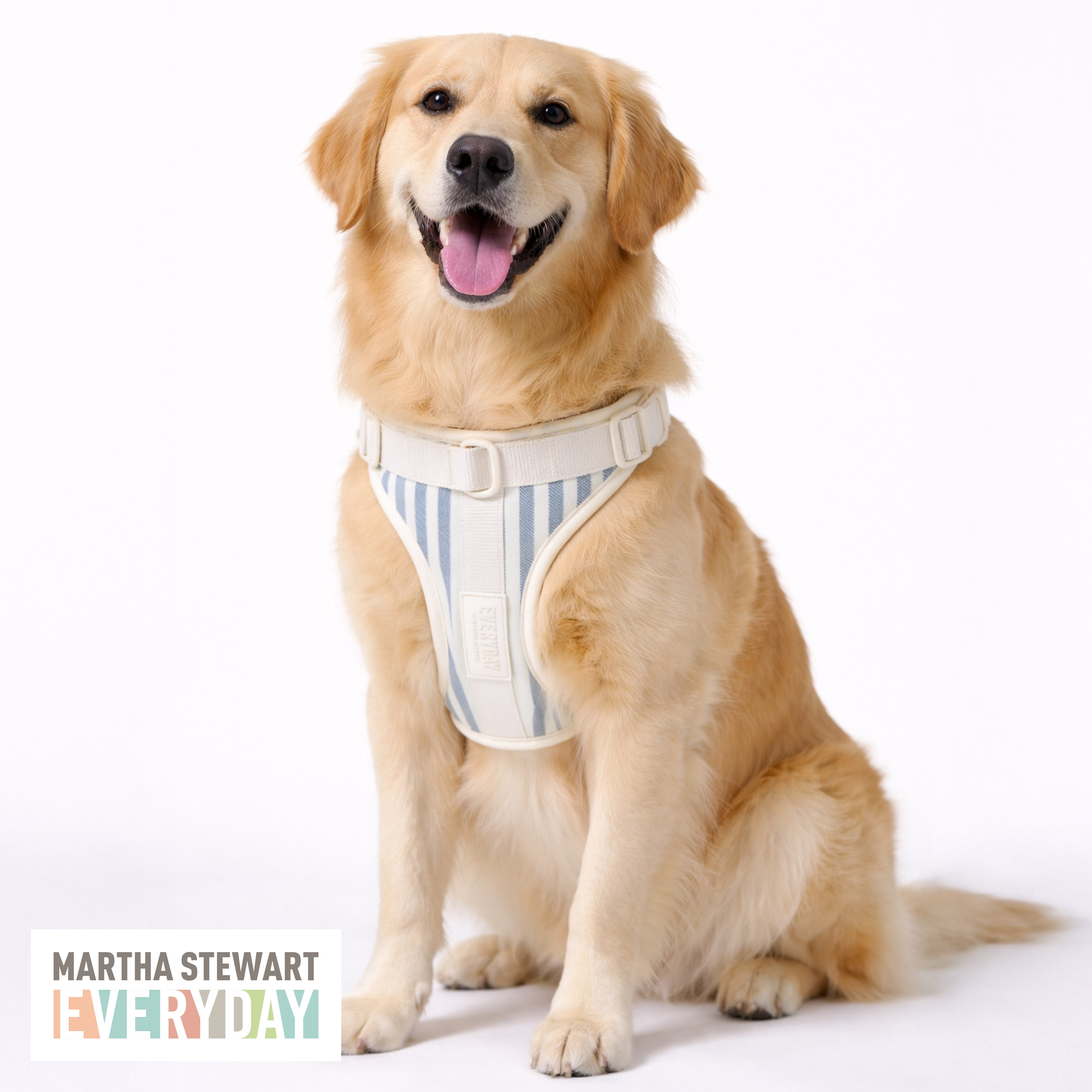Martha Stewart Stripe Neoprene Padded Harness for Dogs