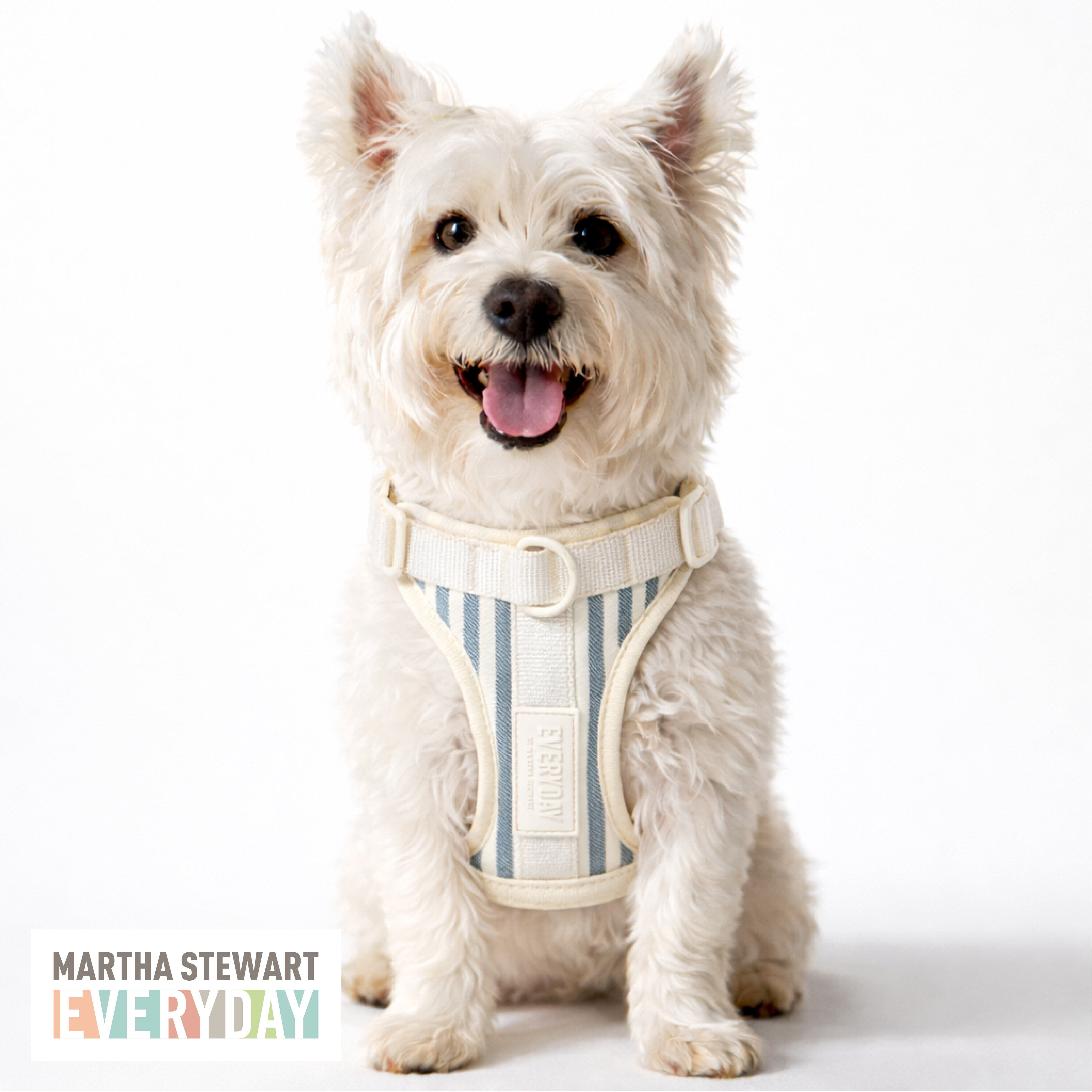 Martha Stewart Neoprene Padded Harness for Dogs - Stripe Design, Comfortable and Adjustable