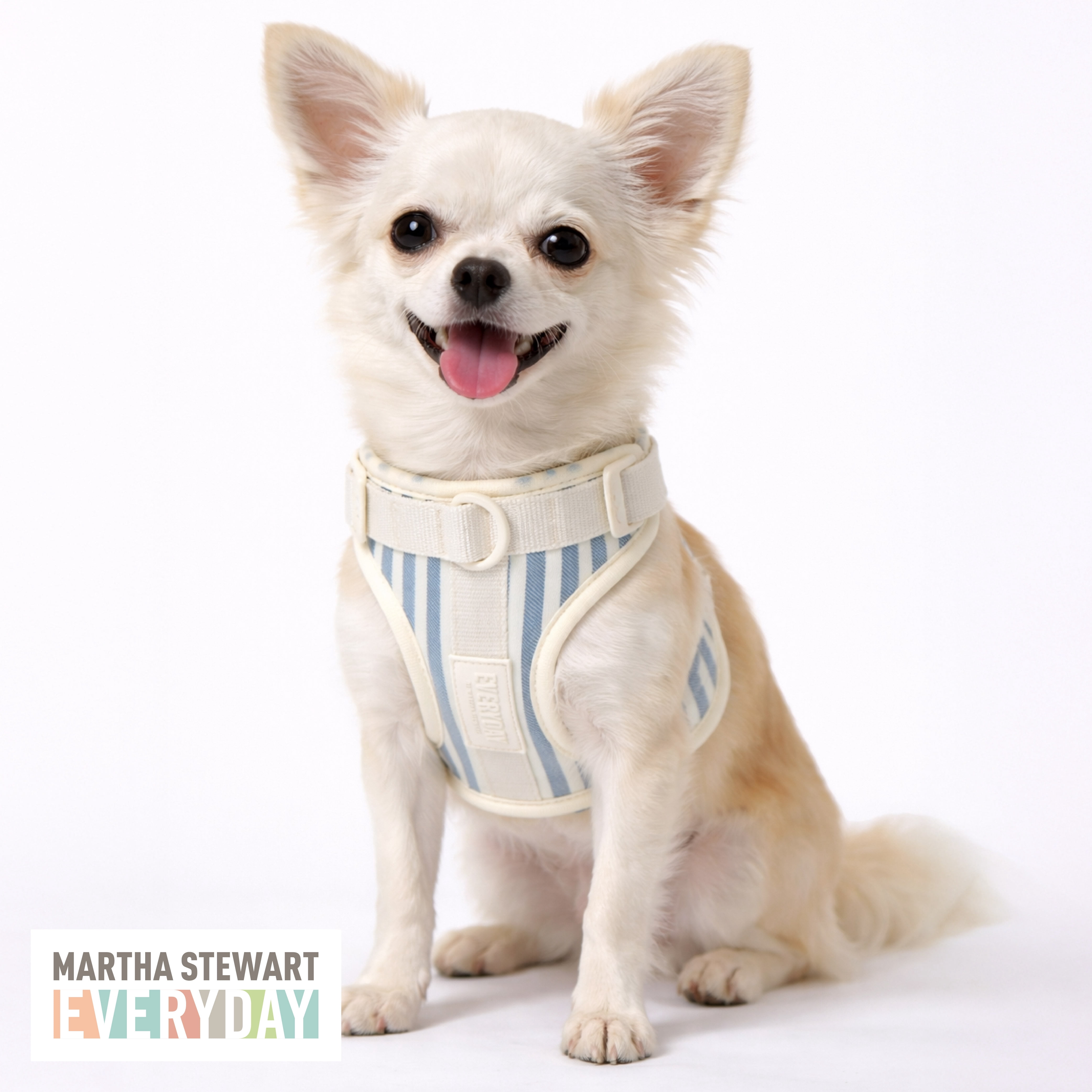 Martha Stewart Neoprene Padded XS Pet Harness for Dogs - Soft and Comfortable Stripe Design