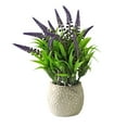 thumbnail image 1 of Neorosiri Elegant Simulated Bonsai Decorative Ornament for Home and Office - Soft Green Grass and Amethyst Spike Design in Stylish Dotted Vase, 1 of 6
