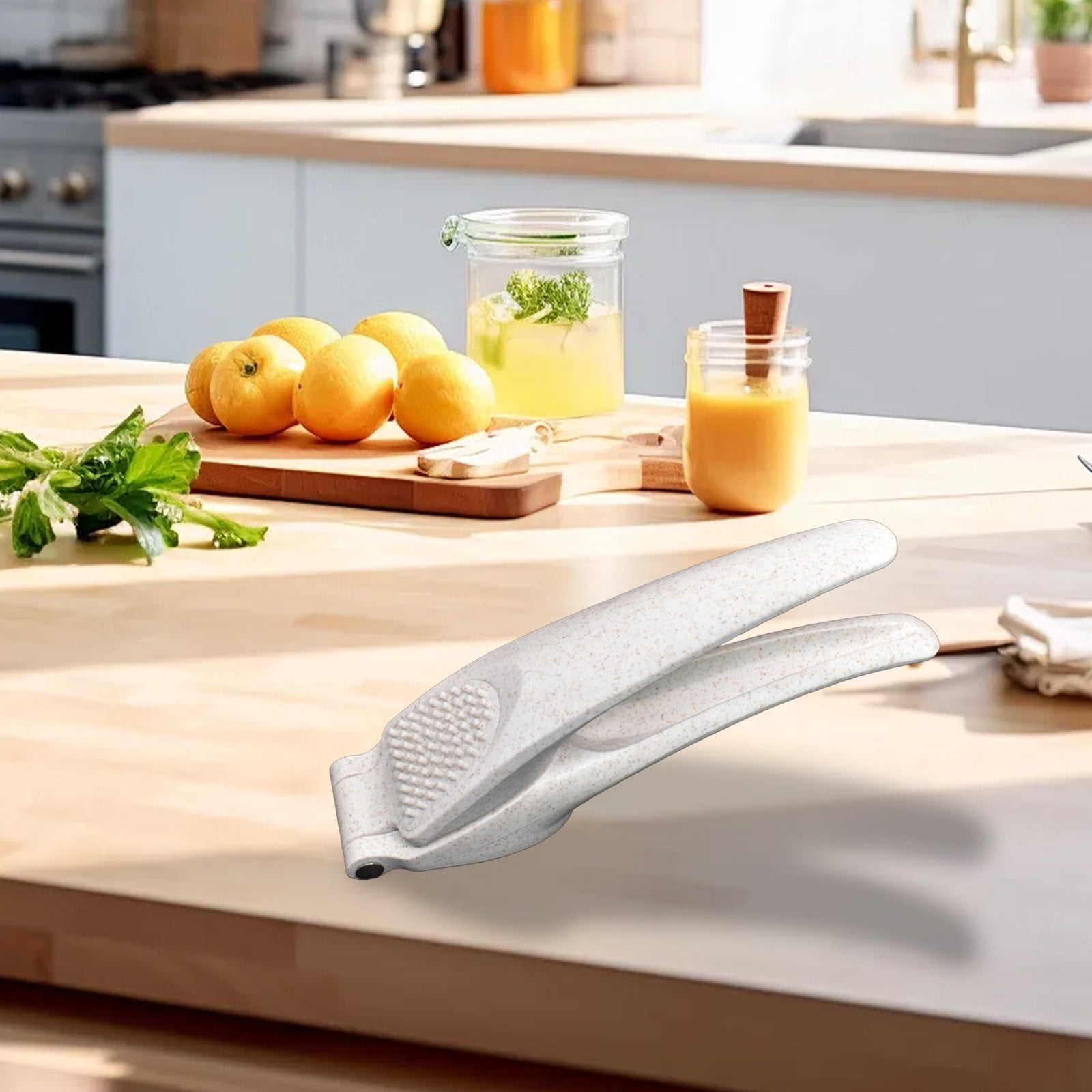 Neorosiri Stainless Steel Garlic Press with Plastic Handle Durable