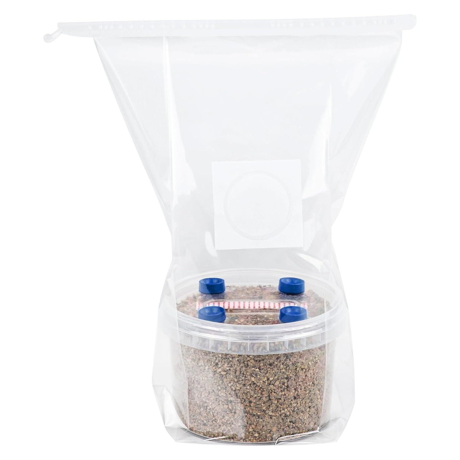 NeosKon All in One Mushroom Grow Kit Sterilized BRF Jar with