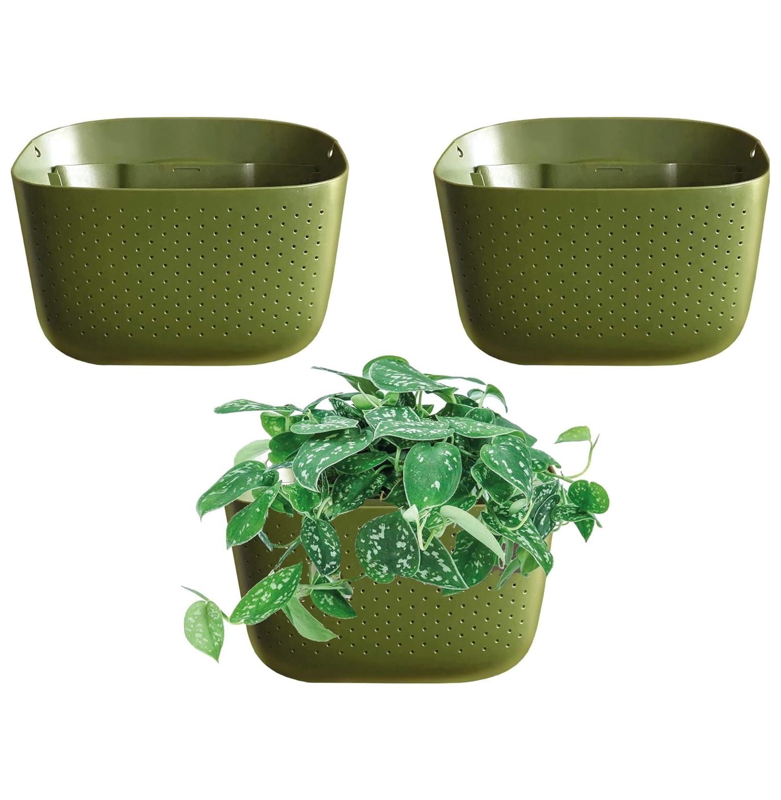 NeosKon Eco Wall Planter, Create a Plant Wall with Hanging Planters for