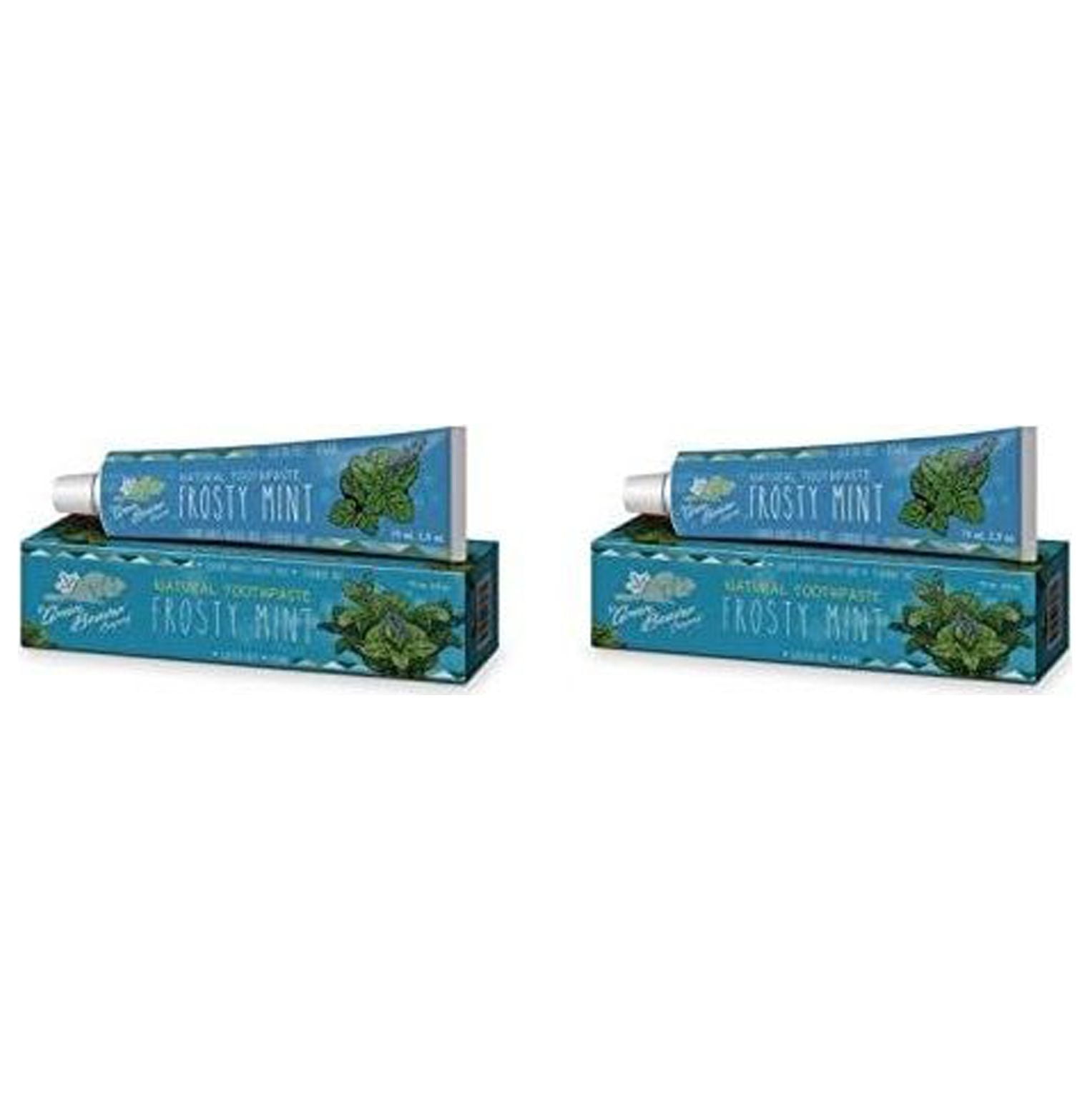 NeosKon Frosty Mint Natural Toothpaste (Pack of 2) with Peppermint Leaf