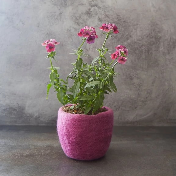 Nepal Fuschia Pink Sheep Wool Felt Planter