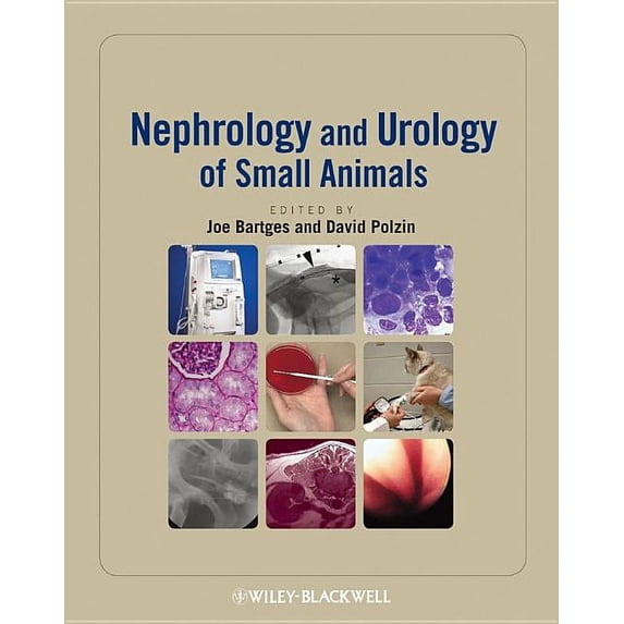 Nephrology and Urology of Small Animals (Hardcover)