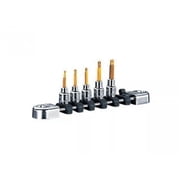 Nepros NPNTQ4T05A 0.25 in. Drive Torx Bit Socket Set - 5 Piece