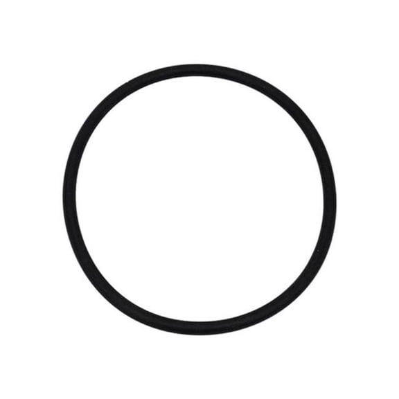 Neptune Benson 4402246 4 in. Body O-Ring Delta Nut