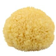 Neptune Caribbean Sea Sponge, Medium Approx. 5-6 Inch, Hand Processed, Natural & Eco-Friendly Bath Sponge