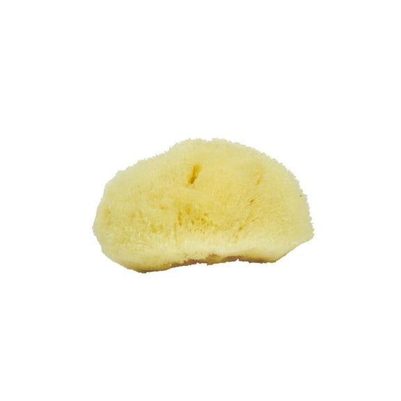Neptune Sea Silk Sponge, Large, Hand Cut, Approx. 3-4 inches