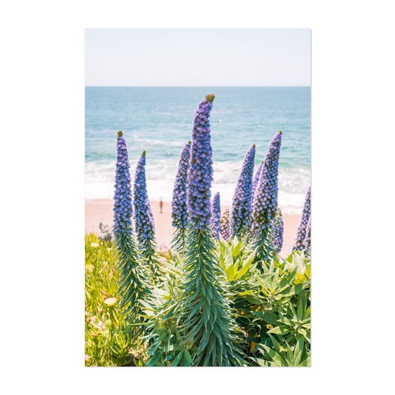 Neptune's Trident - California Photography Coastal Flowers Beach Ocean Nature Seascape Botanical Unframed Wall Art Print 32 x 48 inches
