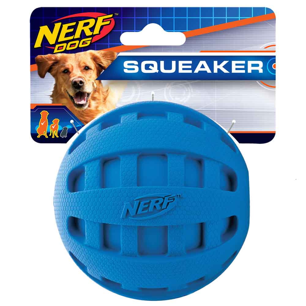 Nerf squeaker ball 2025