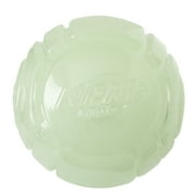 Nerf Dog Light Up & Glow Ball