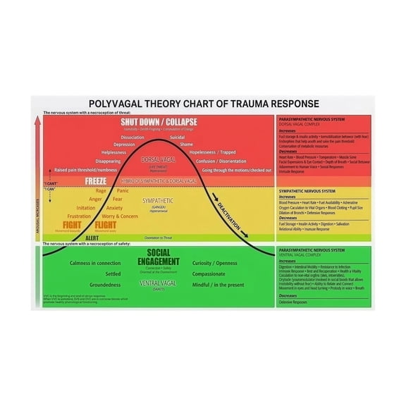Nervous System Regulation Poster Polyvagal Theory Trauma Response Chart Educational Reference for Psychology Classroom Counseling Office Decor