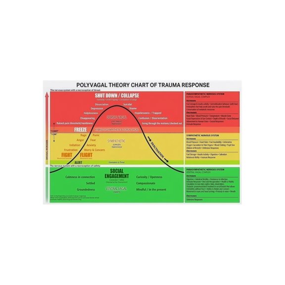 Nervous System Regulation Poster Polyvagal Theory Trauma Response Chart Educational Reference for Psychology Classroom Counseling Office Decor