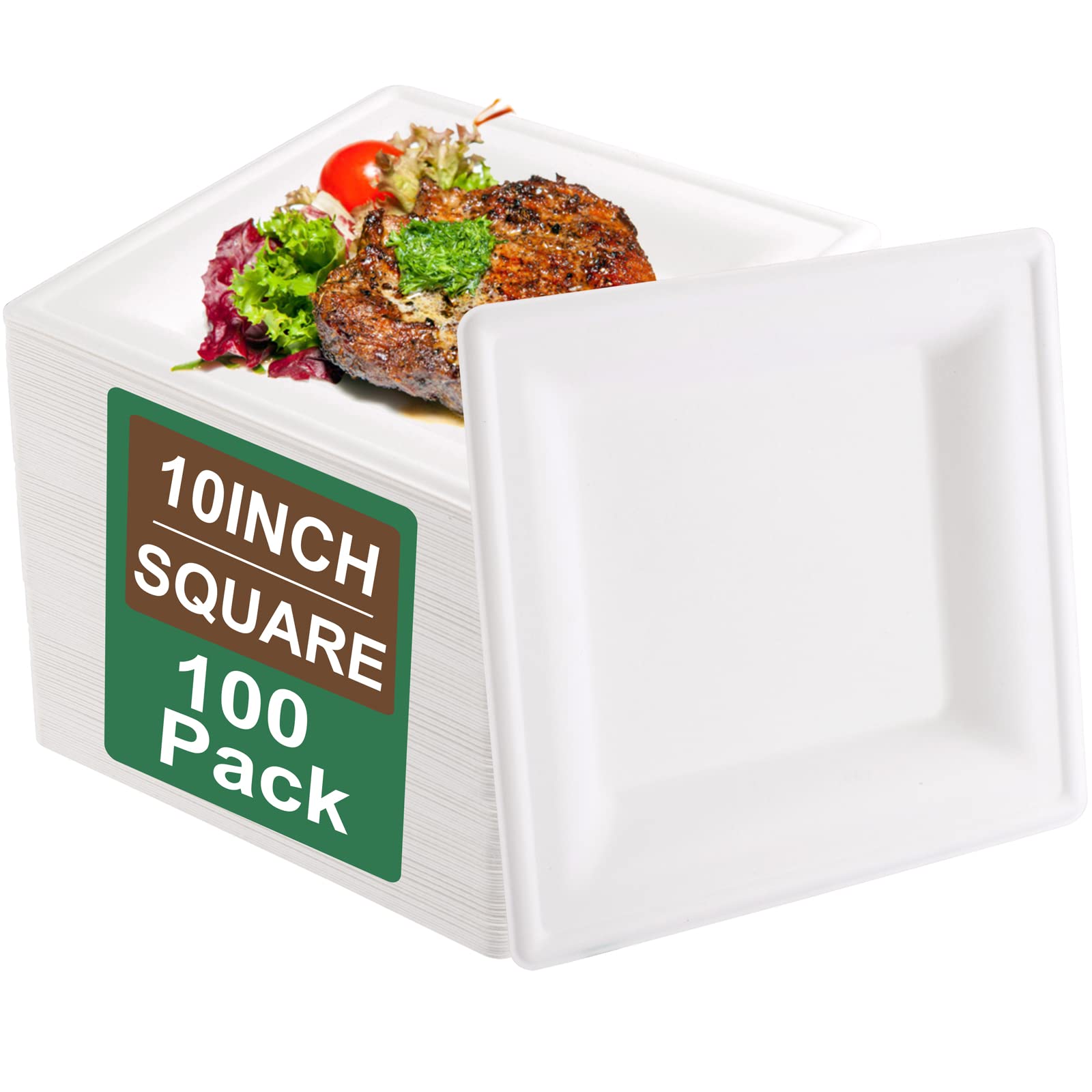 Nervure 100PCS Compostable Paper AIF4 Plates 10 Inch Nature Plates