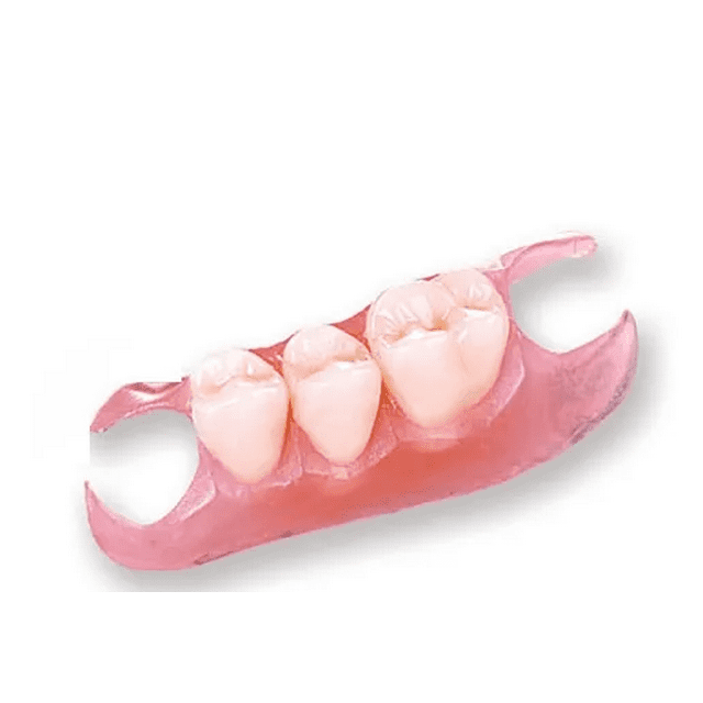 Nesbit Partial Denture