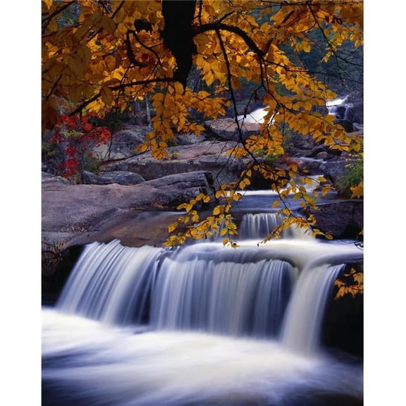 Nesowadnehunk Stream Rapids Autumn Colors Baxter State Park Poster Print by Natural Selection Robert Cable, 26 x 34 - Large