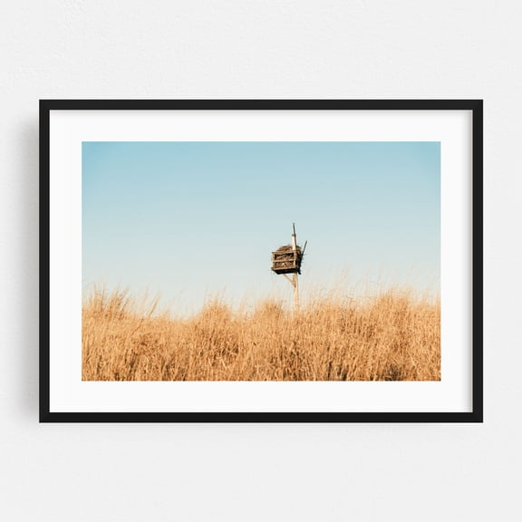 Nest at Sandy Hook - New Jersey Photography Minimalist Nature Bird Wildlife Rural Scenic Pastoral Black Framed Wall Art Print 24 x 36 inches