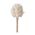 thumbnail image 1 of Nesthee 60 Pcs Bunny Tails Dried Flowers Pampas Grass,Natural Rabbit Tail Grass Dried for Flowers Arrangements DIY Craft Wedding Party Home Table Decor, 1 of 7