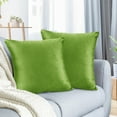 thumbnail image 1 of Nestl Velvet Throw Pillow Covers Solid Square Soft Decorative Pillow Cover for Sofa, 24" x 24", Garden Green, Pack of 2, 1 of 8