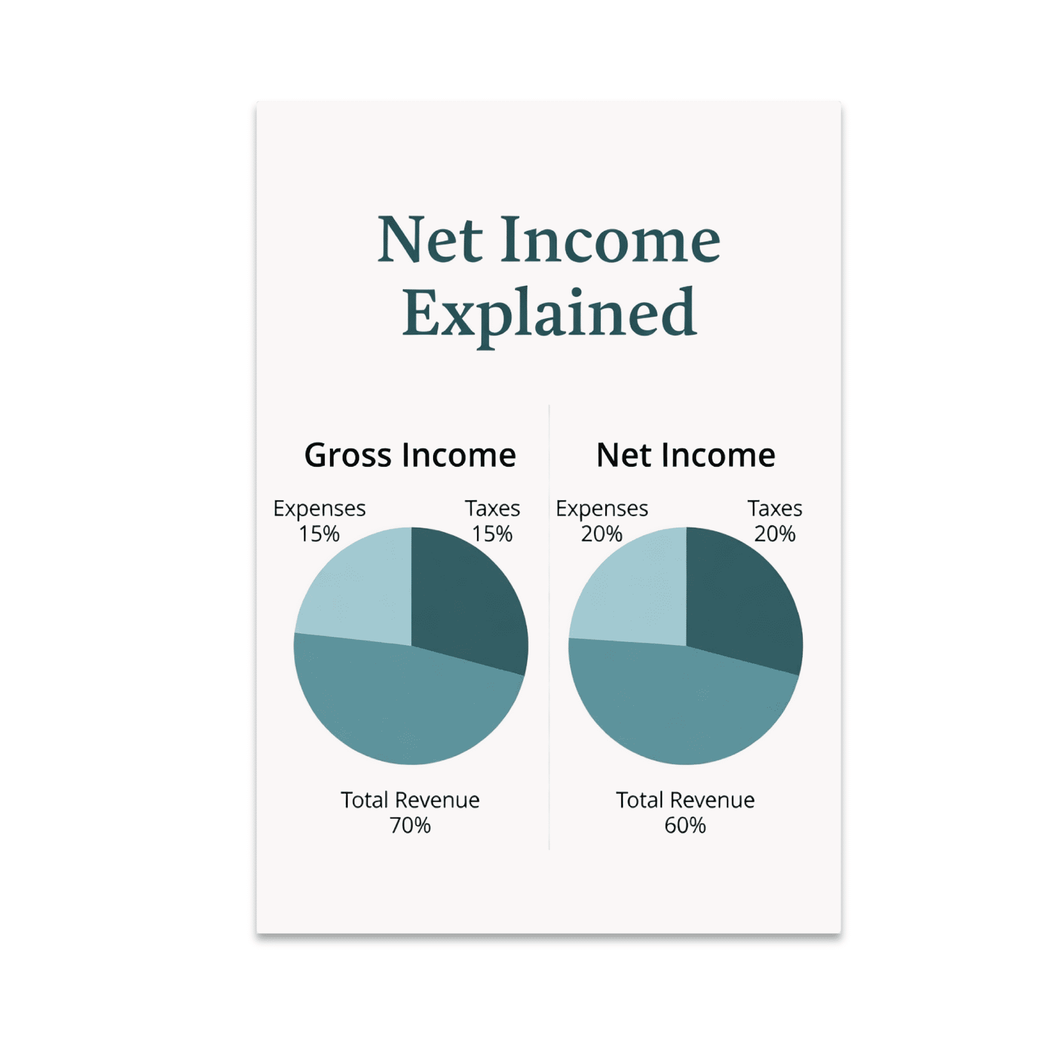 Net Income Personal Net Income Explained Infographic - Finance Enthusiast - 13x19 Poster ...