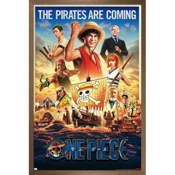 Netflix One Piece - Group One Sheet Wall Poster, 22.375" x 34" Framed