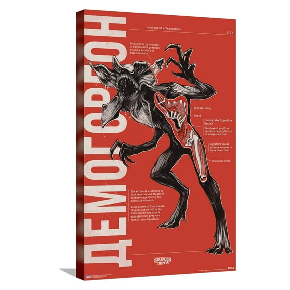 Netflix Stranger Things: Season 4 - Demogorgon Anatomy Canvas Wall Poster, 14.725" x 22.375"