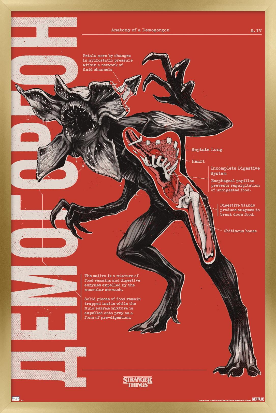 Netflix Stranger Things: Season 4 - Demogorgon Anatomy Wall Poster