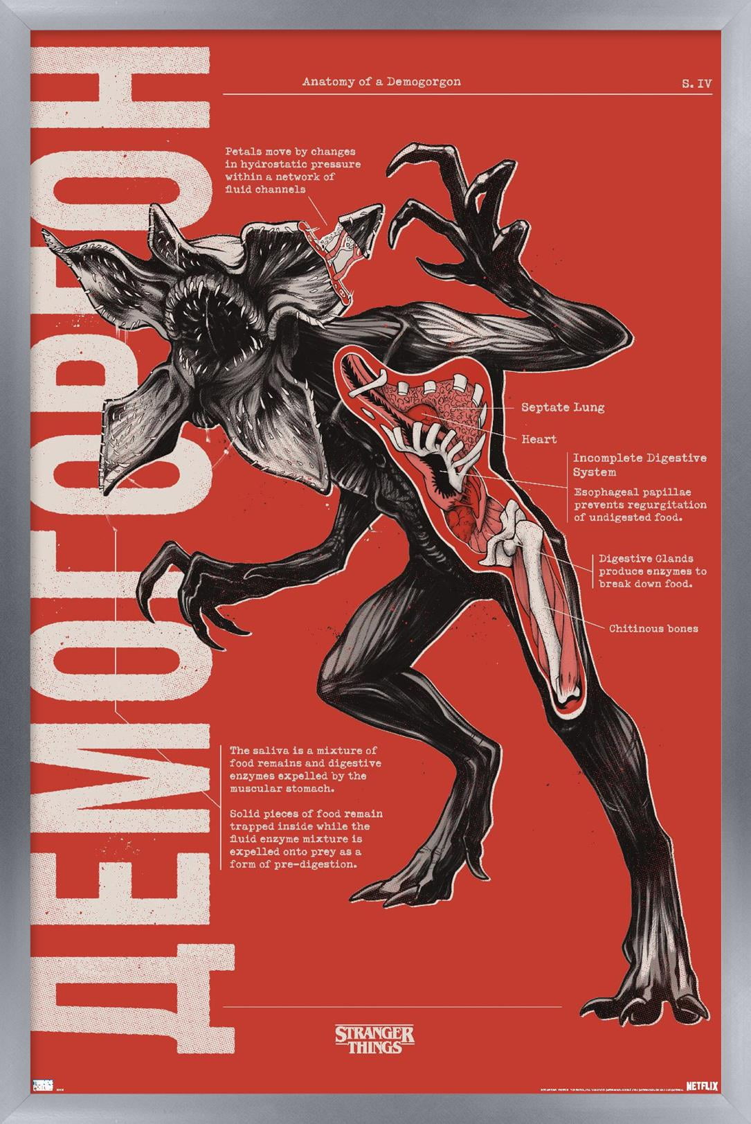 Netflix Stranger Things: Season 4 - Demogorgon Anatomy Wall Poster
