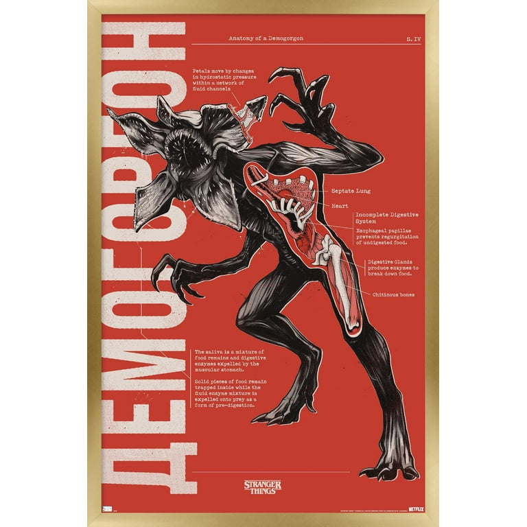 Netflix Stranger Things: Season 4 - Demogorgon Anatomy Wall Poster
