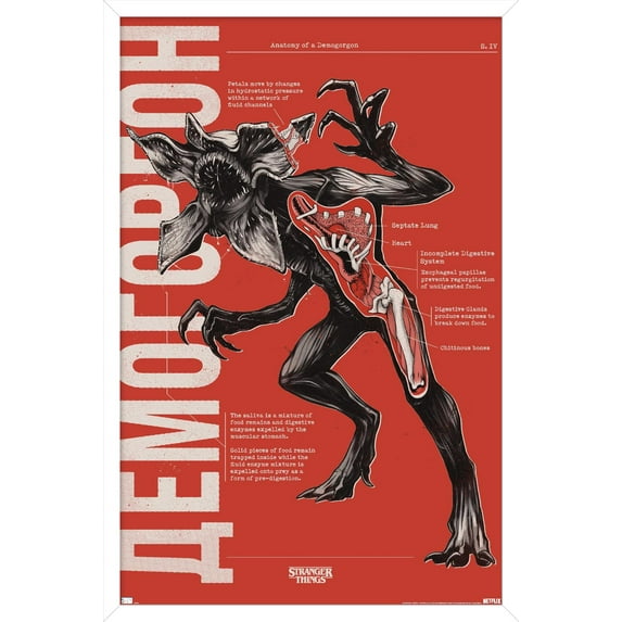 Netflix Stranger Things: Season 4 - Demogorgon Anatomy Wall Poster, 22.375" x 34" Framed