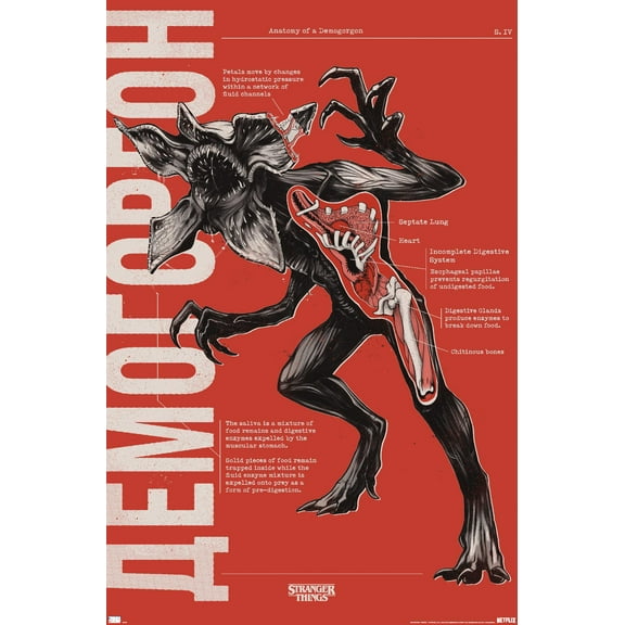 Netflix Stranger Things: Season 4 - Demogorgon Anatomy Wall Poster, 22.375" x 34"