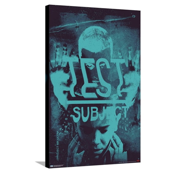 Netflix Stranger Things: Season 4 - Test Subject Canvas Wall Poster, 22.375" x 34"
