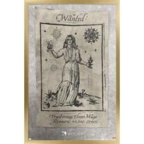 Netflix The Witcher Season 2 - Wanted Elven Mage Wall Poster, 22.375" x 34", Framed