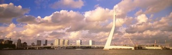 Netherlands Holland Rotterdam Erasmus Bridge Canvas Art - Panoramic Images (36 x 12)