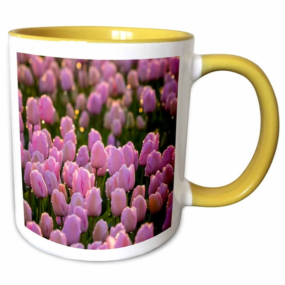 3drose, Netherlands, North Holland, Pink Tulip Field with Dew Drops, 11oz Two-tone Yellow Mug