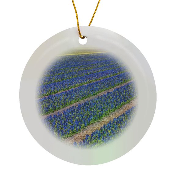 3drose, Netherlands, Southern Holland Province, Lisse, Hyacinths Fields, Circle Porcelain Ornament
