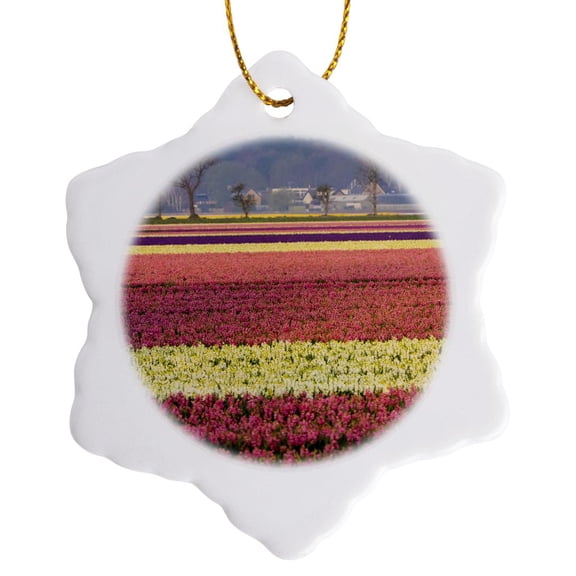 3drose, Netherlands. Spring Flower Fields, 3 inch Snowflake Porcelain Ornament