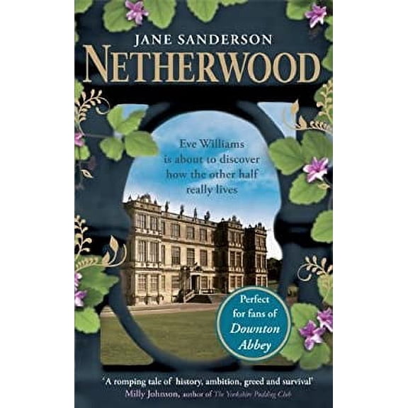Pre-Owned Netherwood (Paperback) 0751547638 9780751547634
